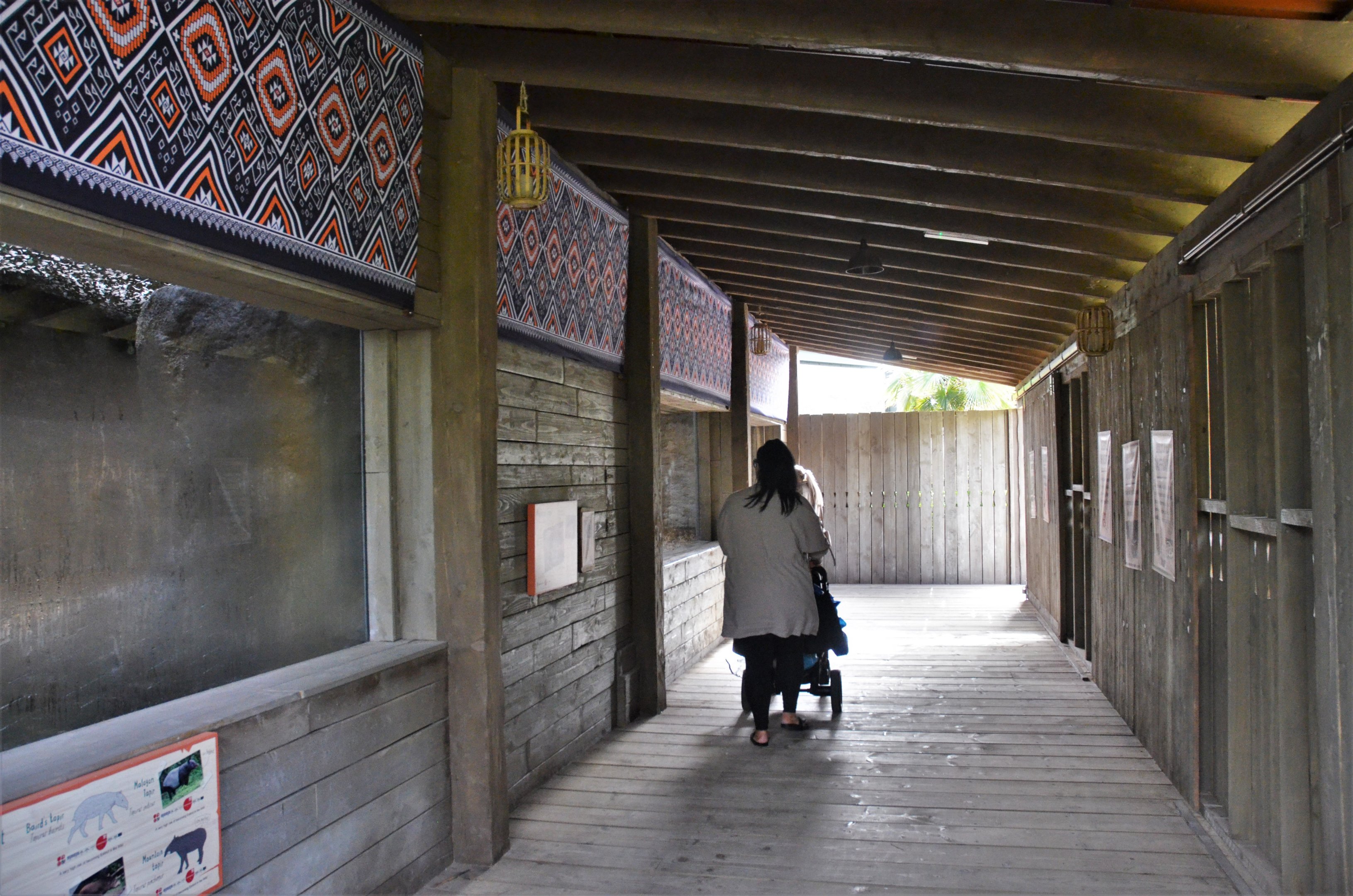 Indoor Malayan Tapir Viewing Area at Chester, 30/09/17