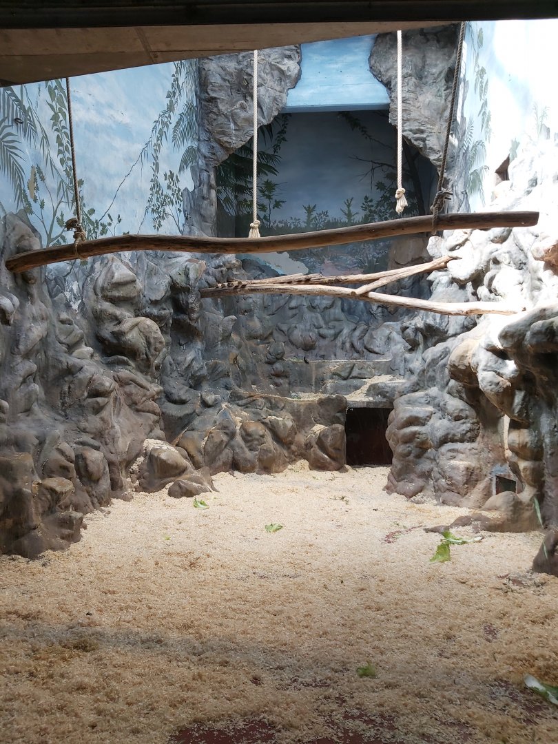 Indoor mandril exhibit