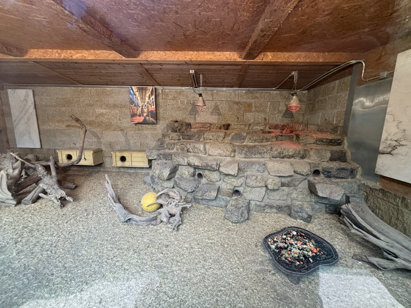Indoor Meerkat and Yellow Mongoose Enclosure at Zoologischer Garten Hof