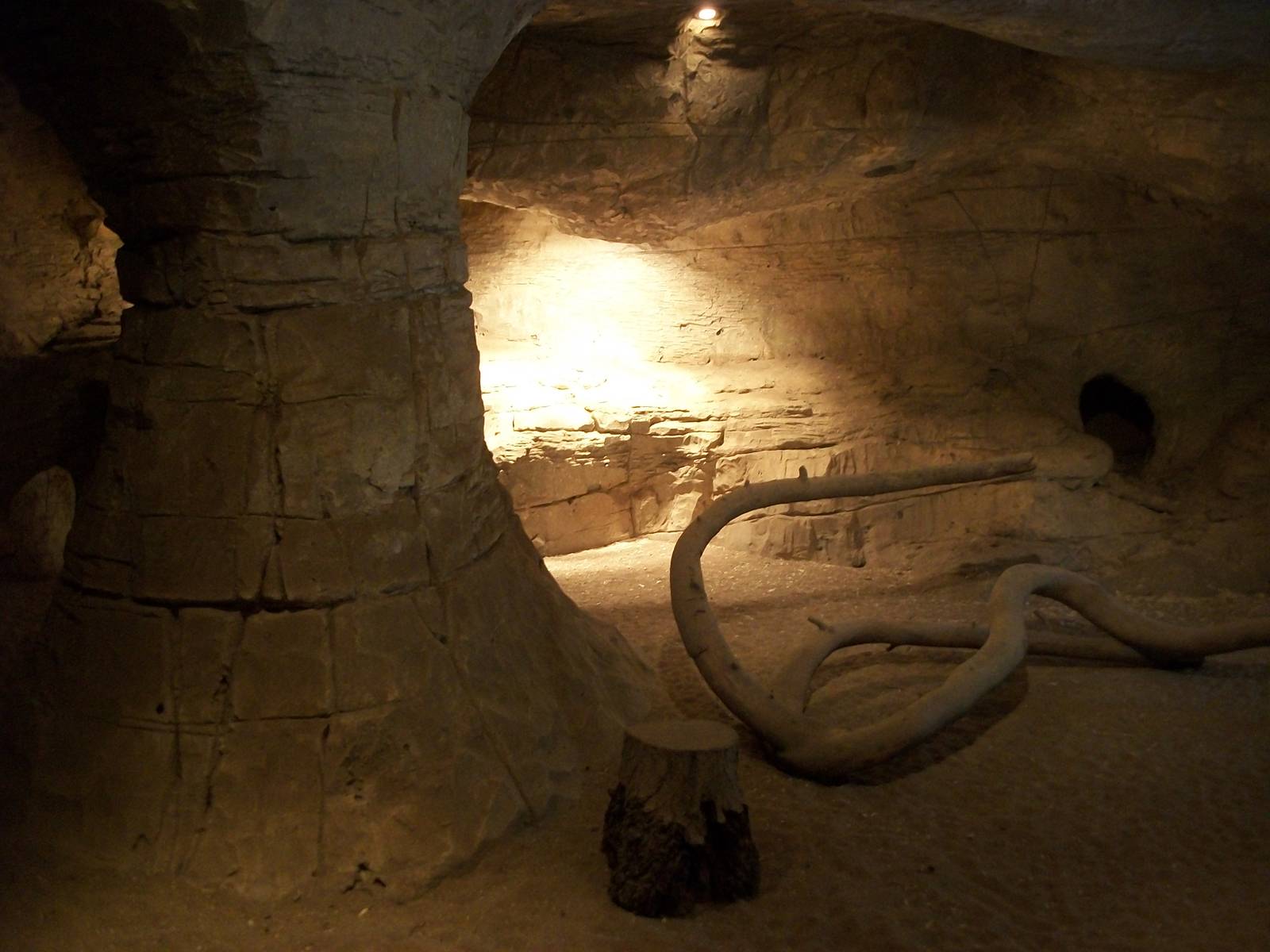 Indoor Meerkat area 22nd February 2013