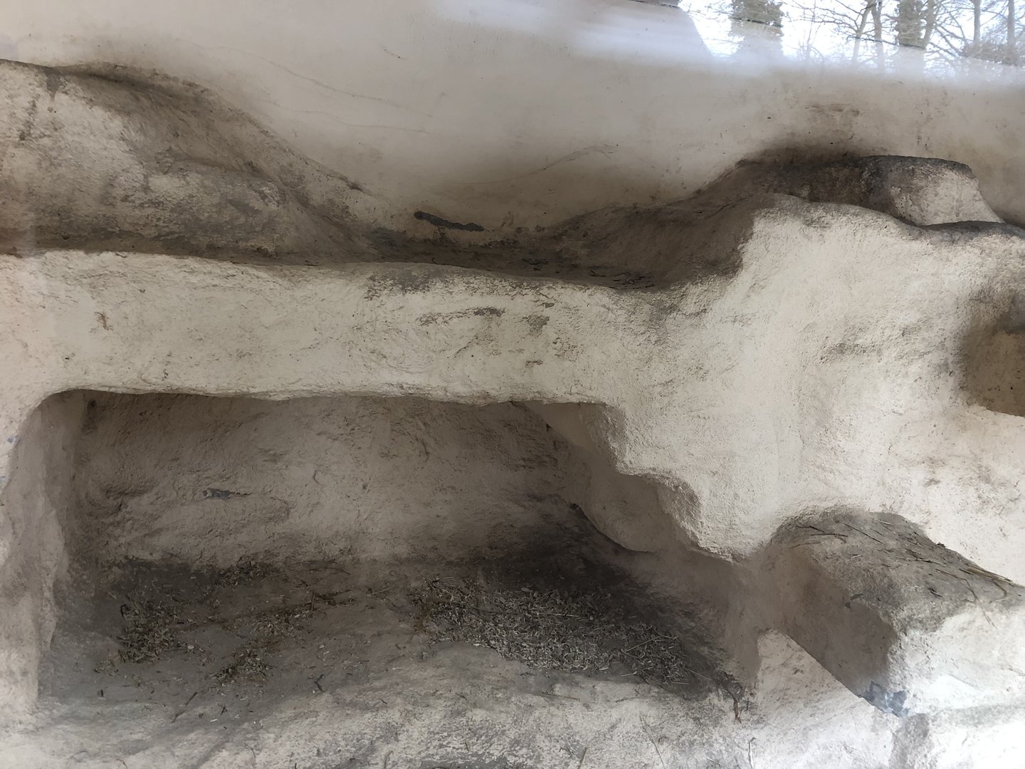 Indoor Meerkat/Porcupine Enclosure at Tropical Butterfly House (March 2023)
