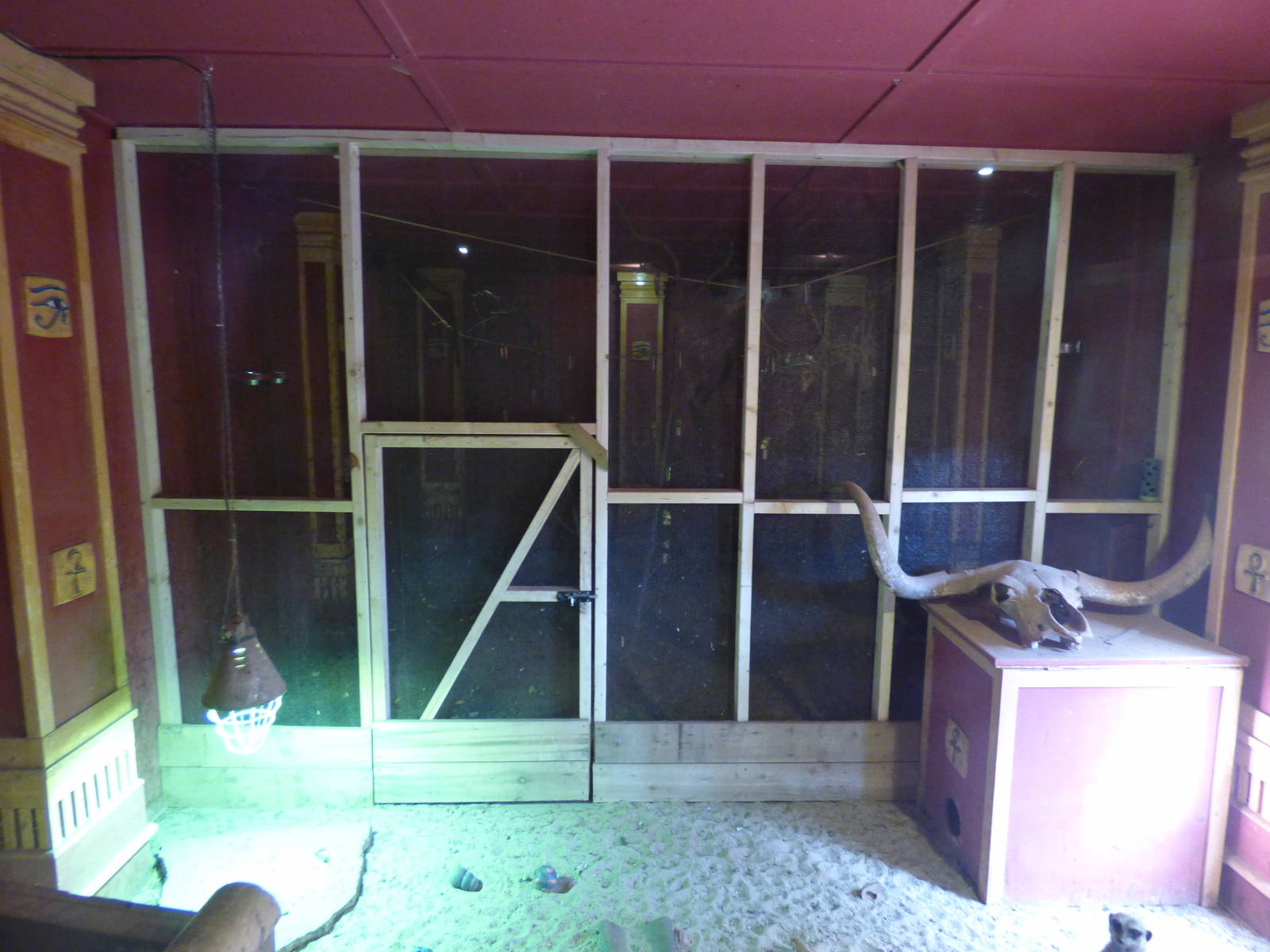 Indoor Meerkat/Sulcatta Tortosie Enclosure with Bats in the back