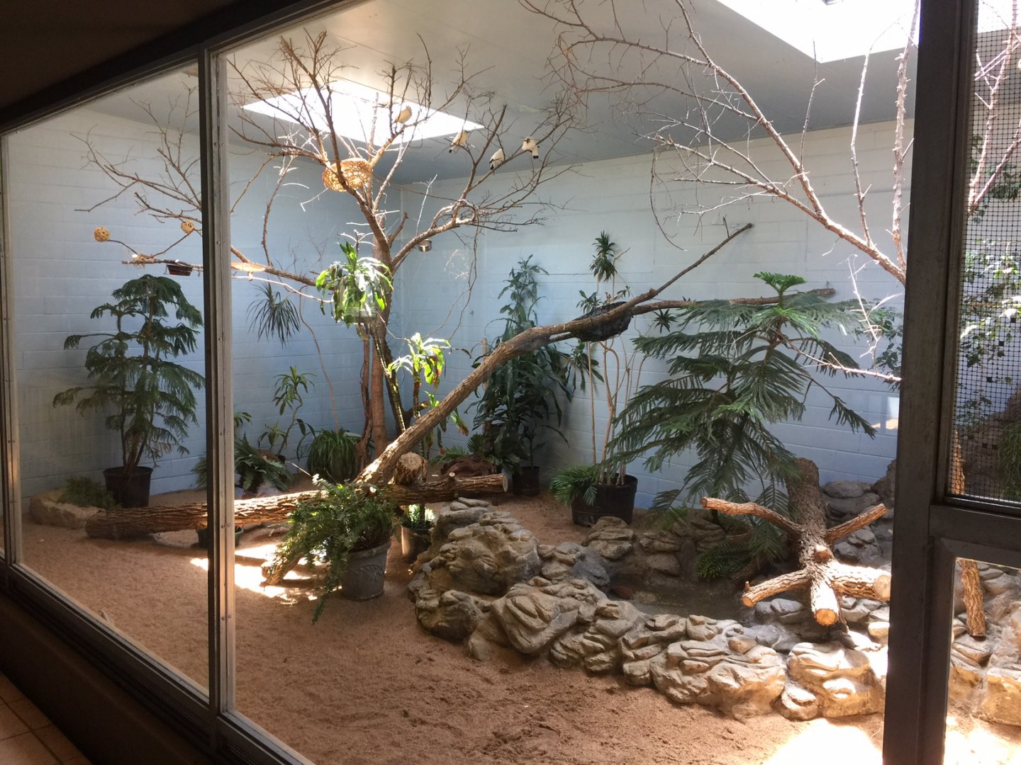 Indoor mixed-species aviary