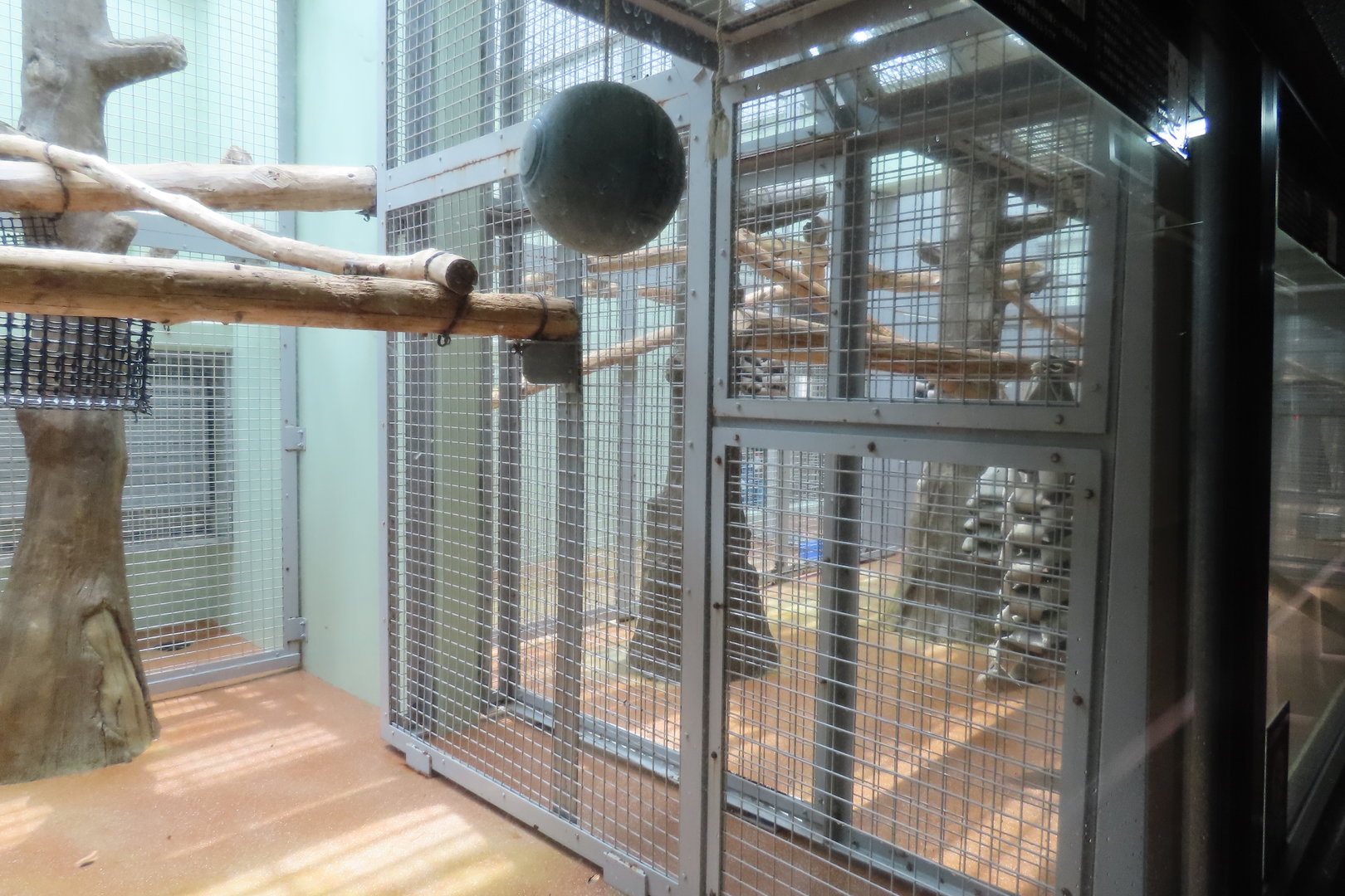 Indoor monkey exhibit