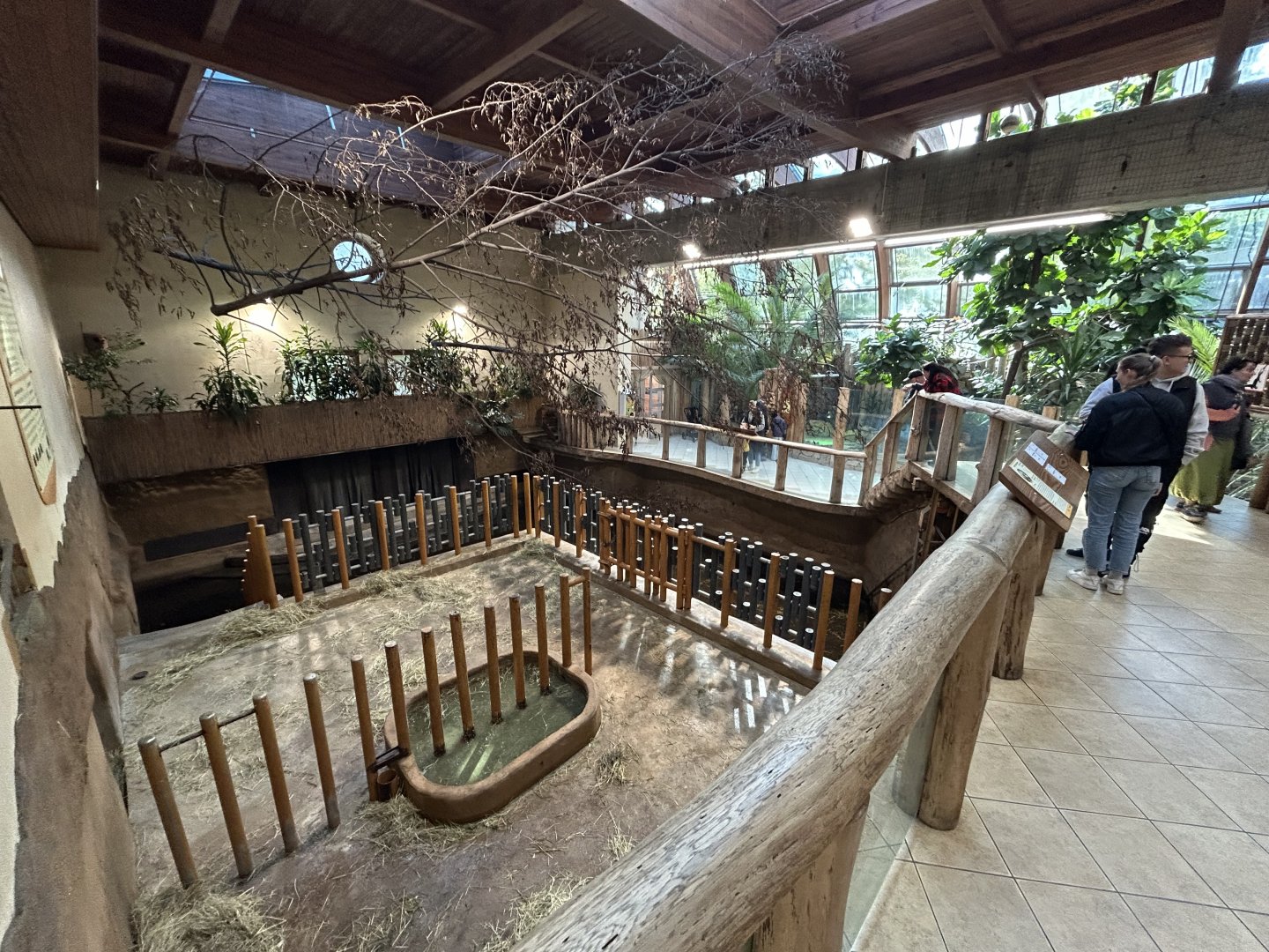 Indoor Nile Hippo Exhibit - Tanganyika House