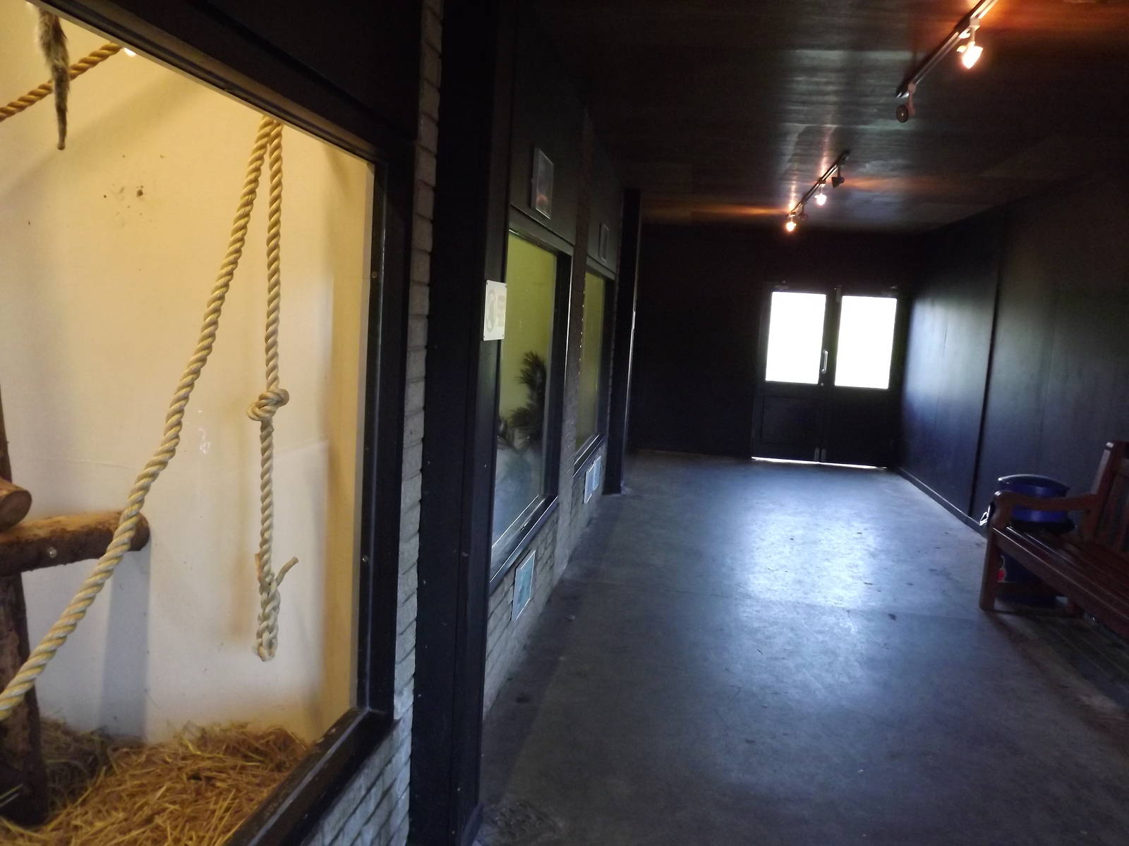 Indoor nocturnal house at Blackpool Zoo 15/01/12