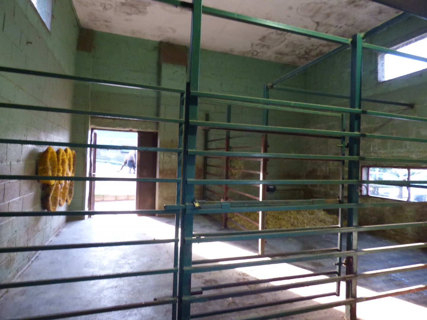 Indoor of Camel House