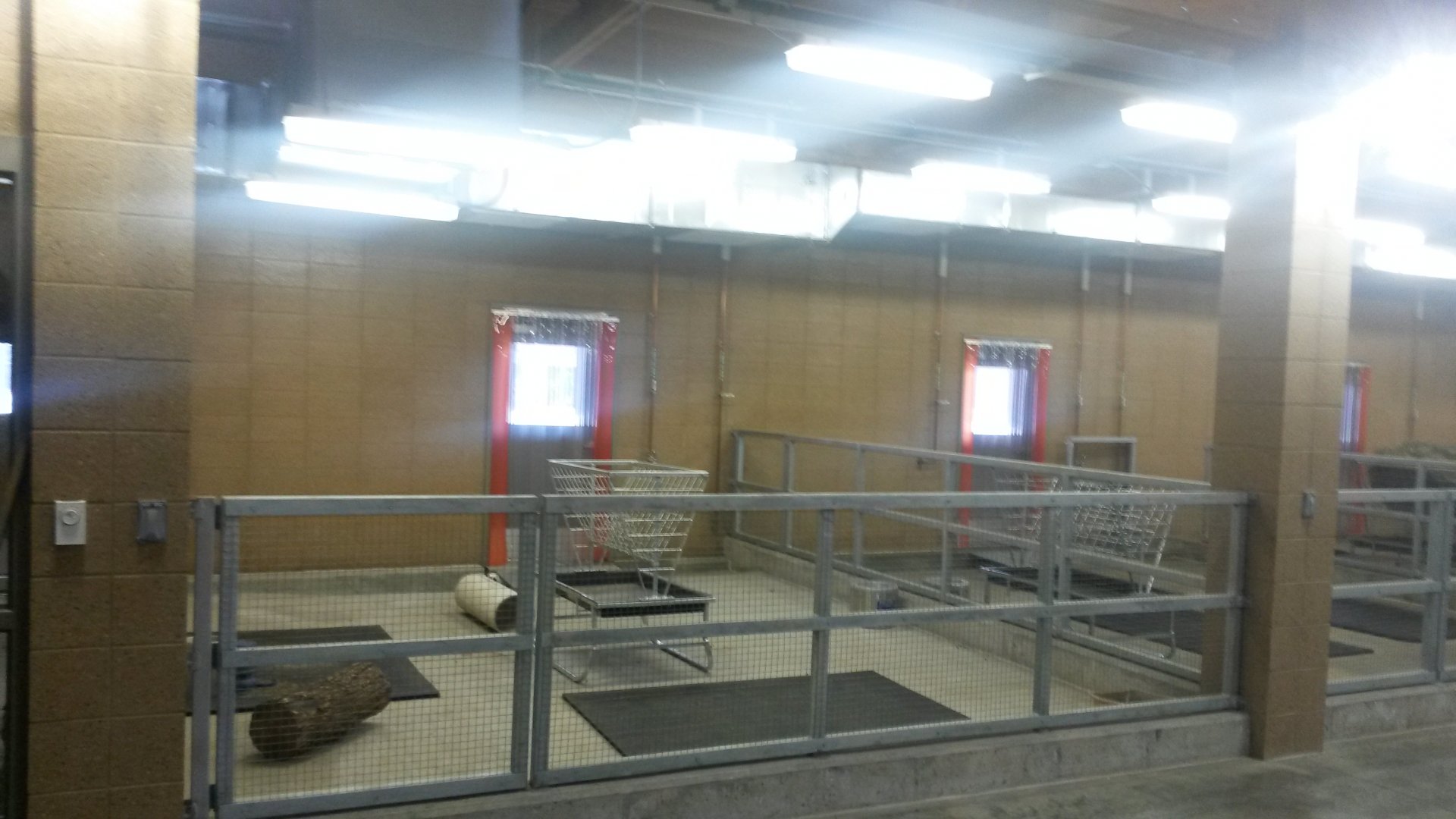 Indoor of new petting zoo.