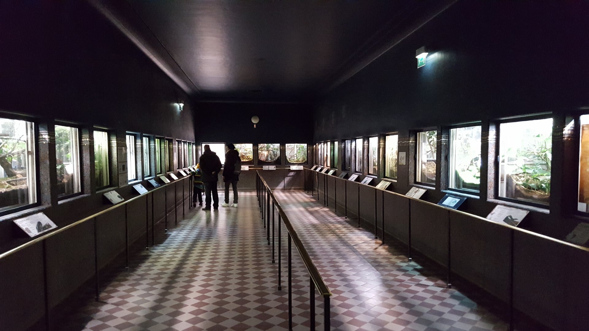 indoor of the vivarium house