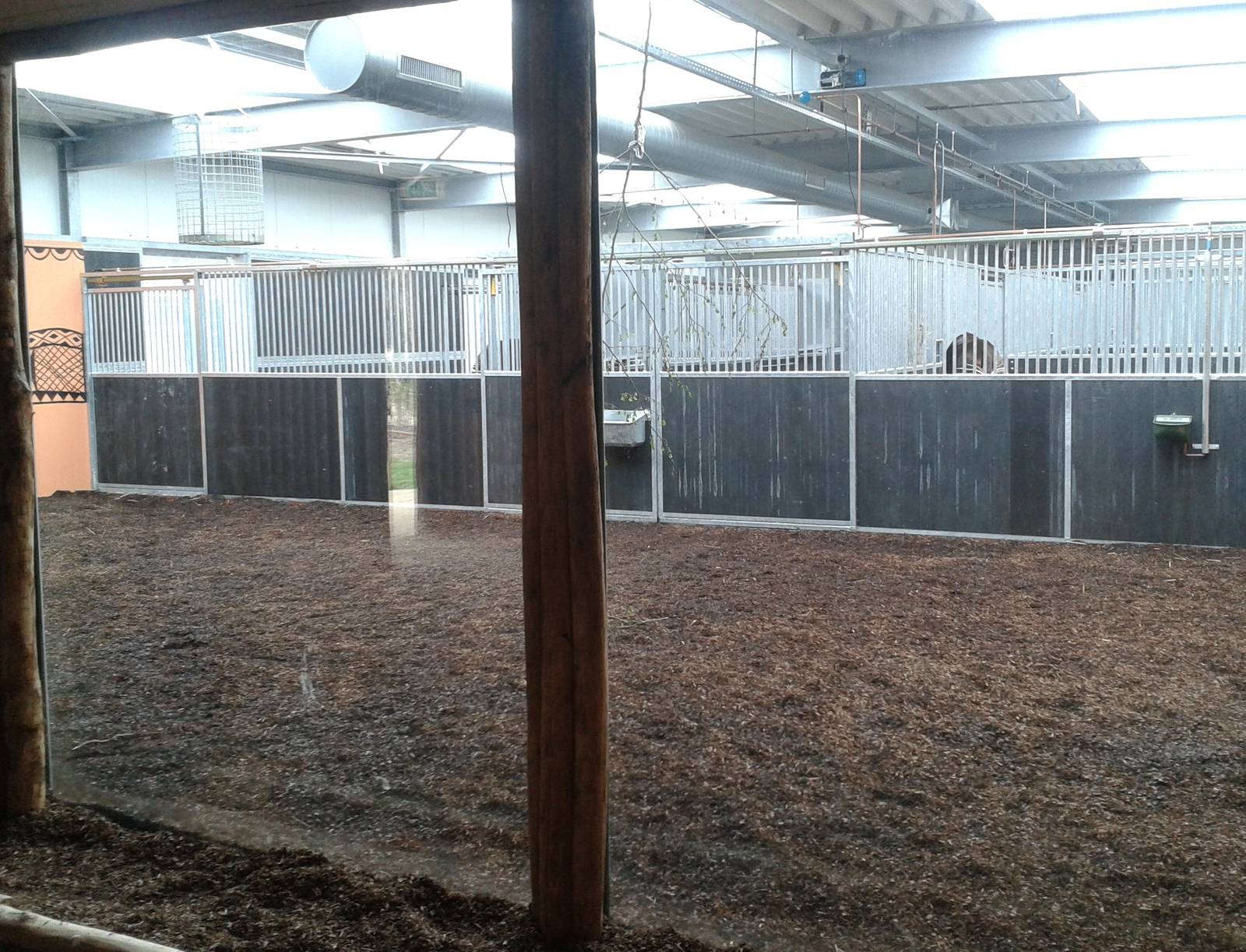 indoor okapi enclosure