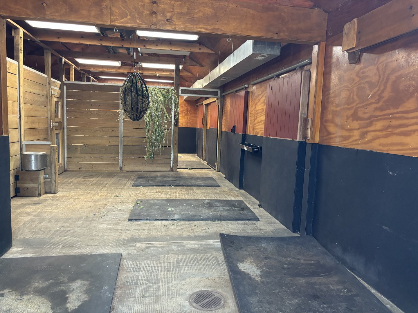 Indoor Okapi Exhibit