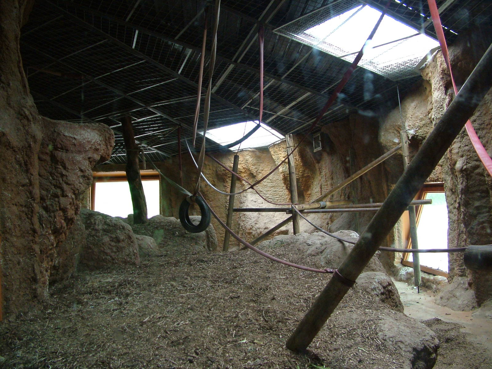 Indoor Orang Exhibit at Madrid Zoo Aquarium, 26/05/11