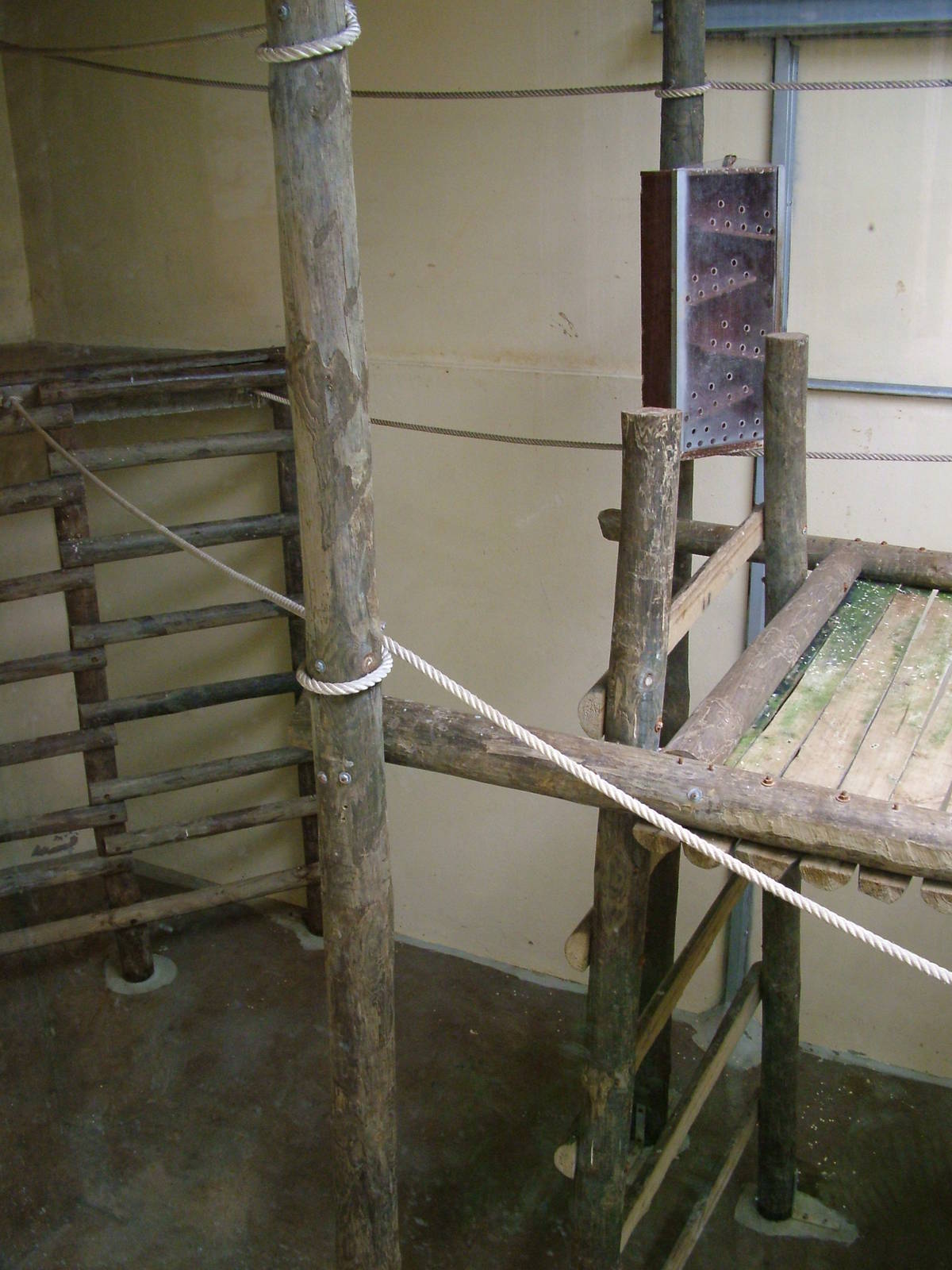 Indoor Orang Quarters at Lisbon Zoo, 24/05/11