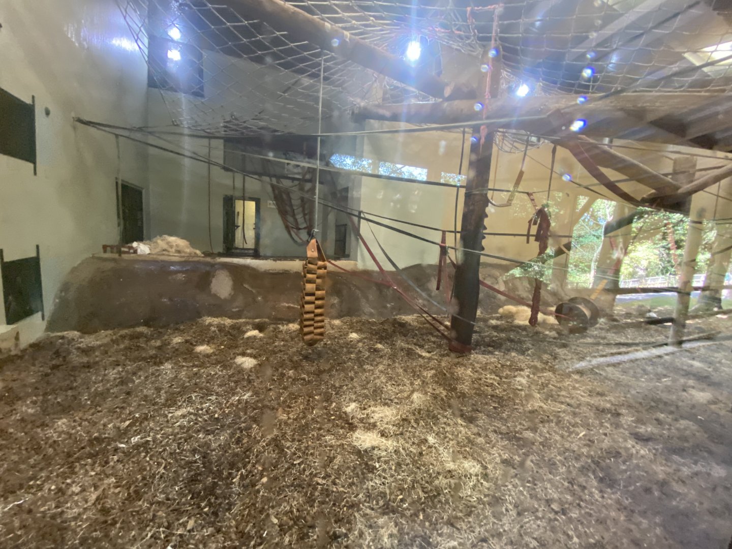 Indoor orangutan enclosure 2