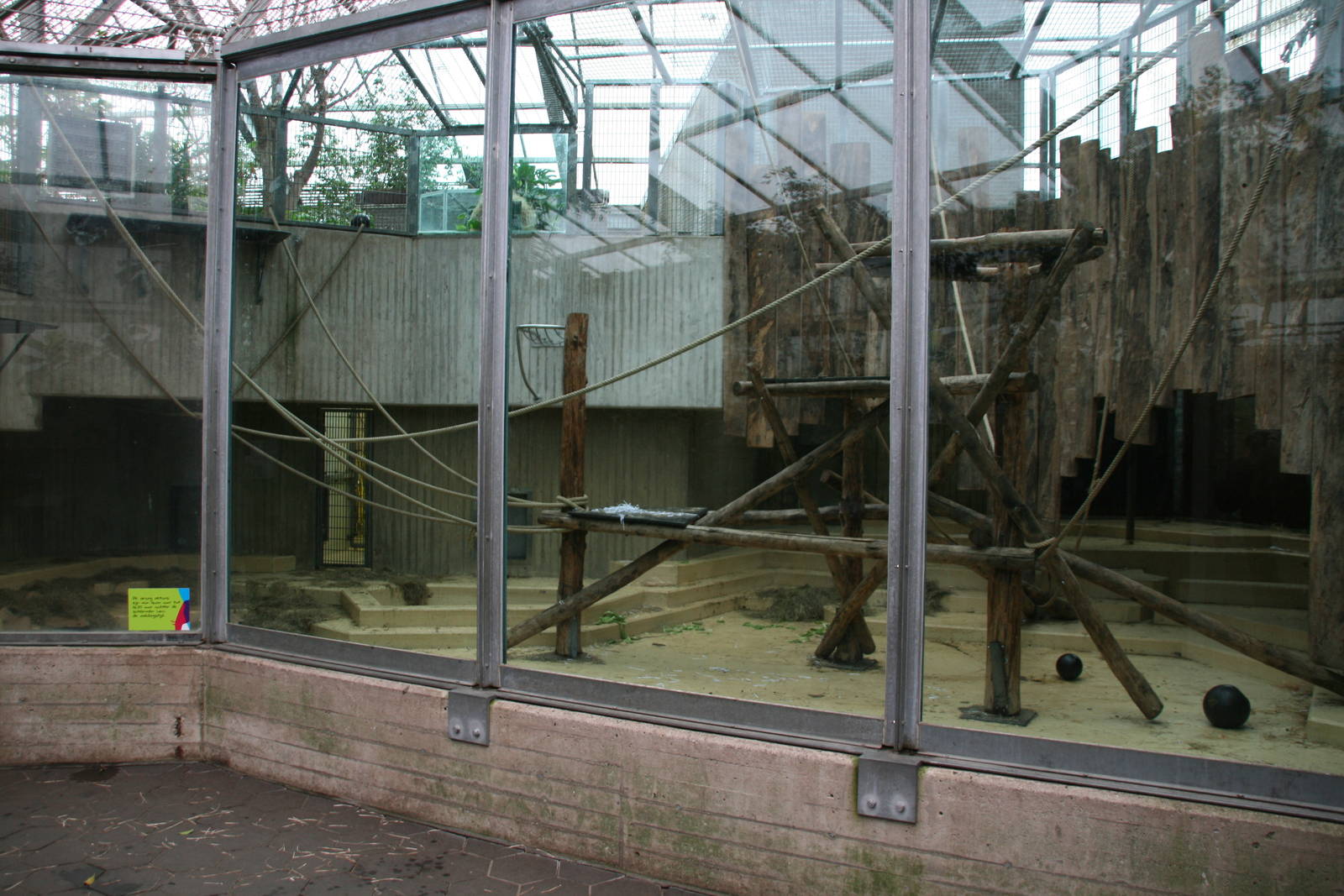 indoor Orangutan exhibit