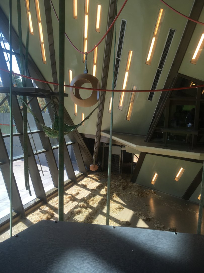 Indoor Orangutan Exhibit