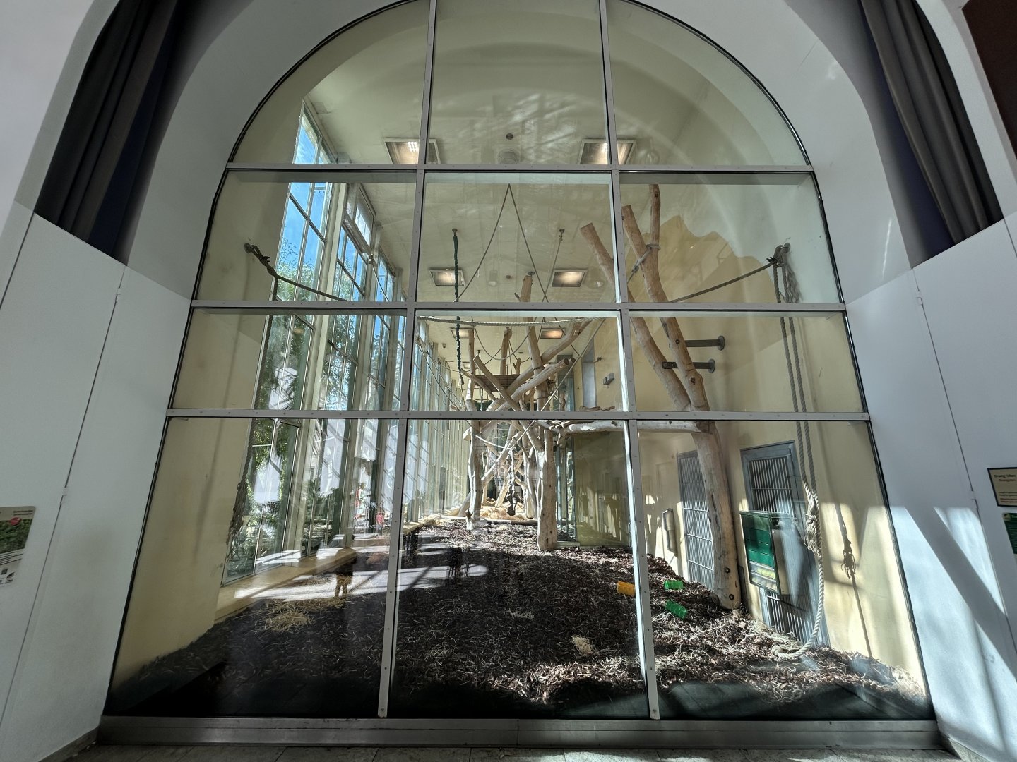 Indoor Orangutan Exhibit