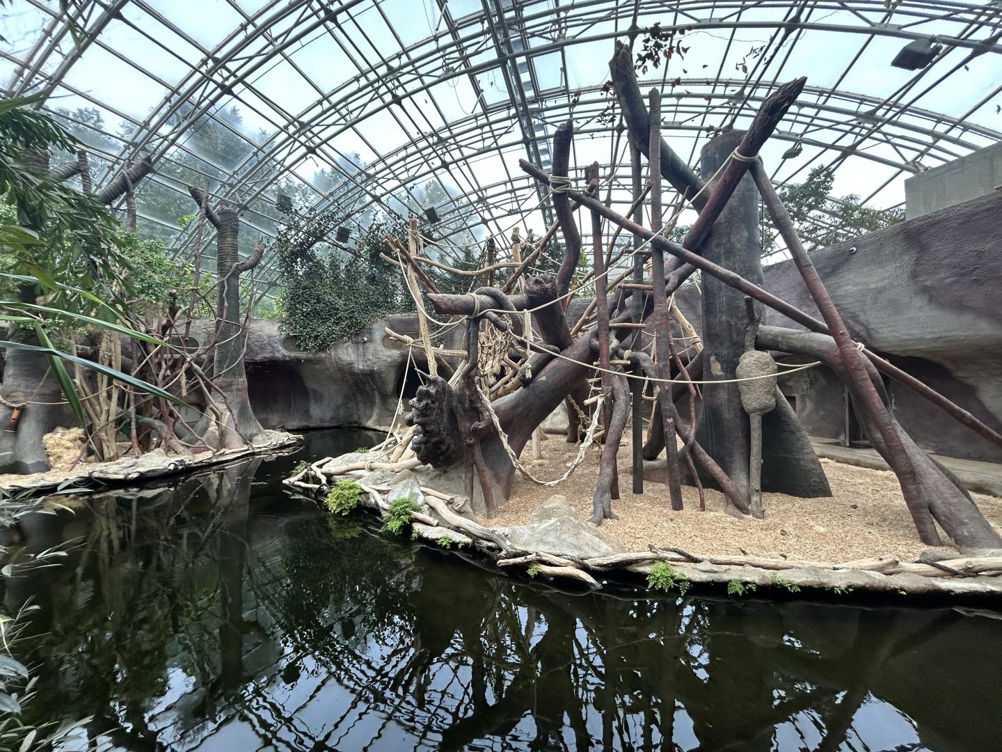 Indoor Orangutan Exhibits - Indonesian Jungle Pavillon