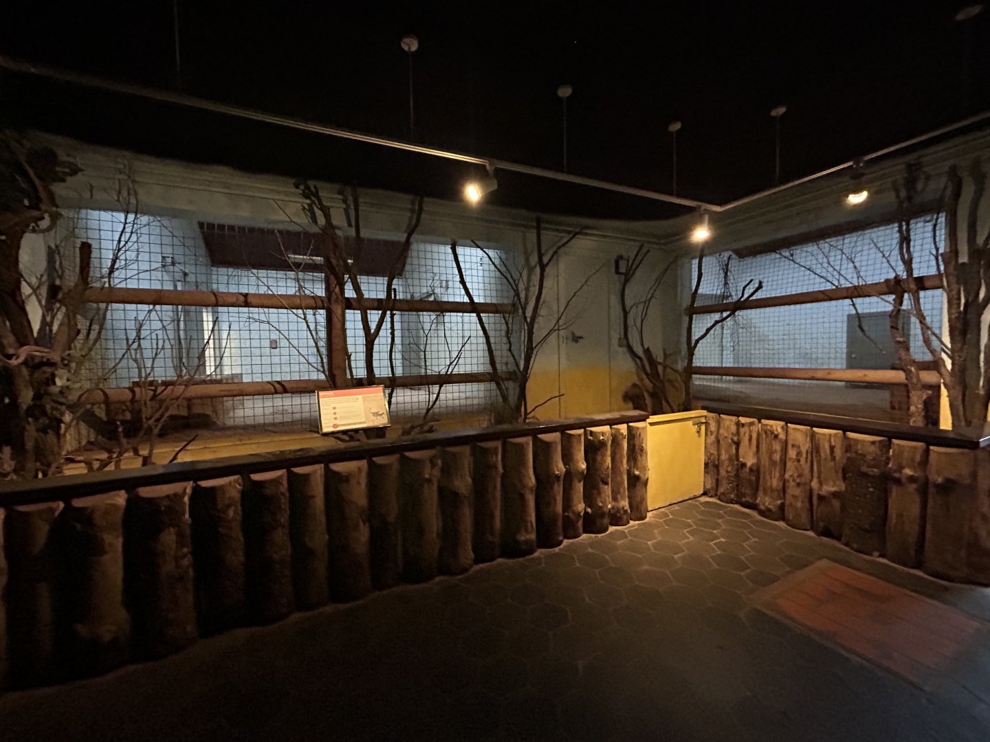 Indoor Ostrich Exhibit