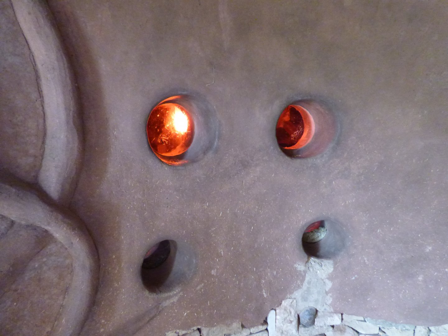 Indoor Otter Viewing