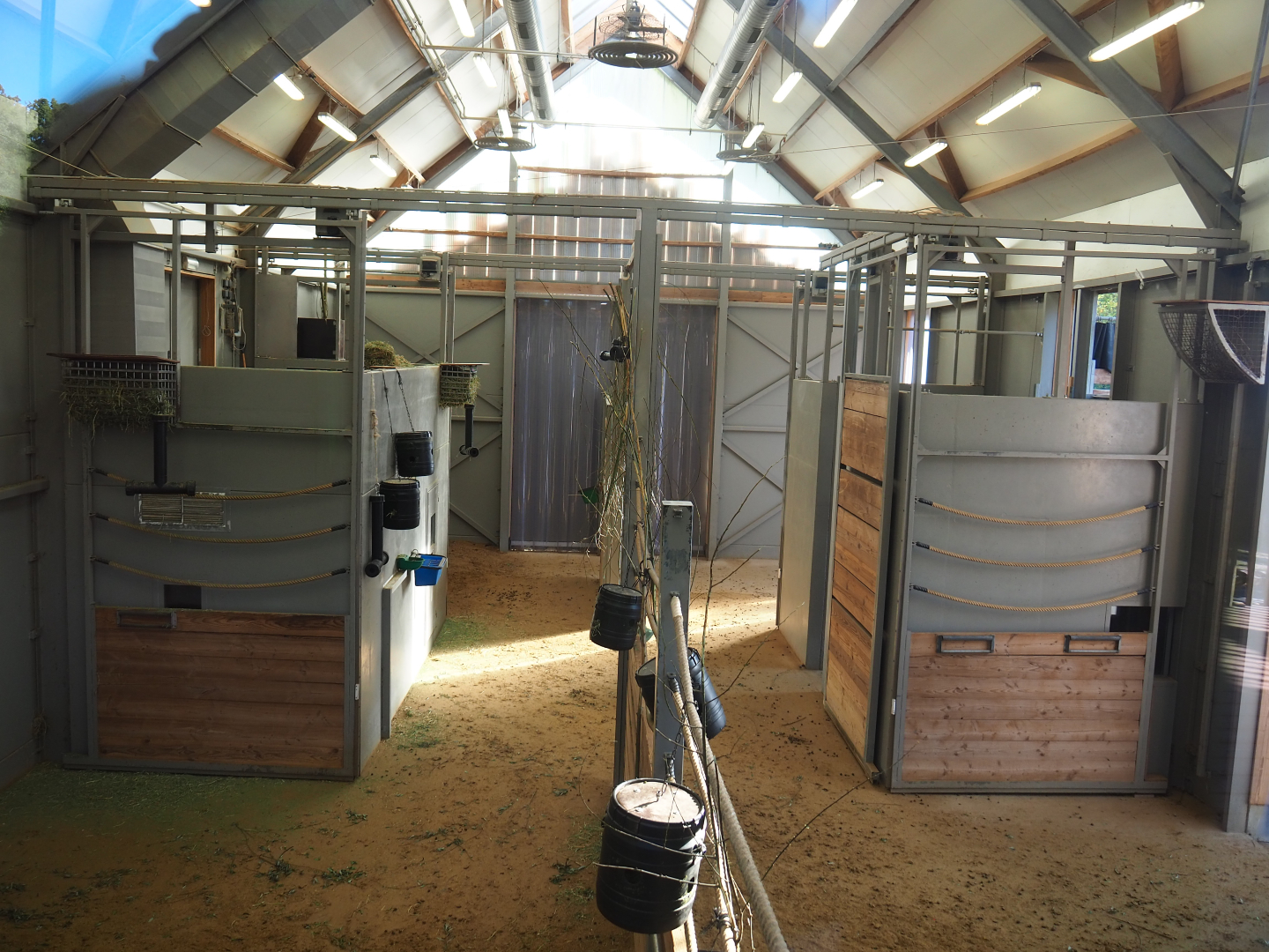 Indoor paddocks in the Kordofan giraffe house, 2020-10-10