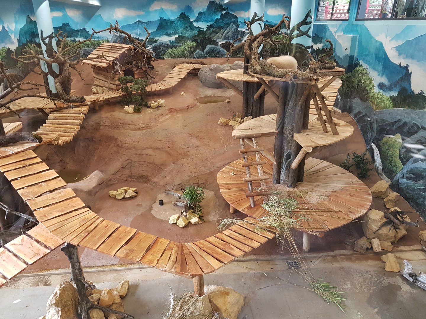 Indoor-panda enclosure