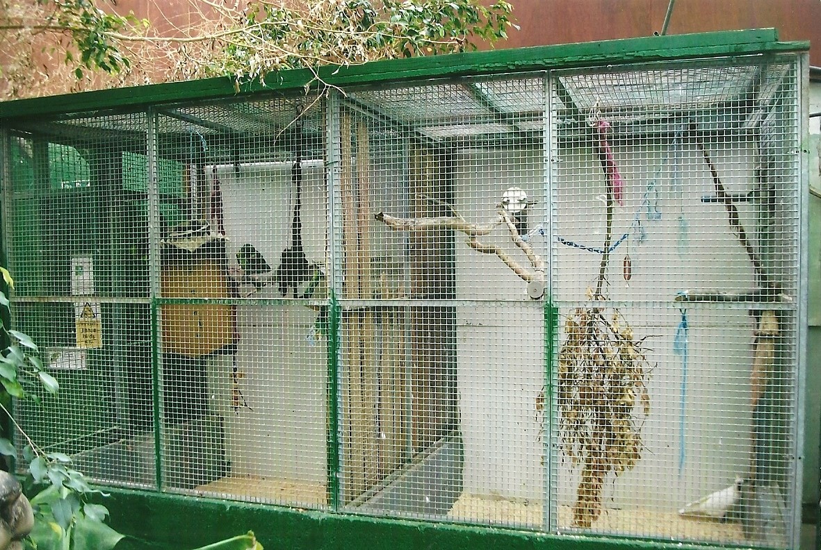 Indoor parrot aviaries, 13th September 2013