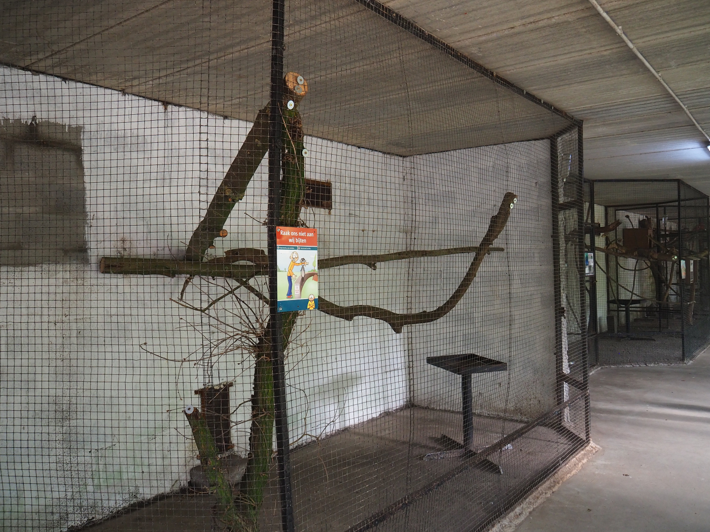Indoor parrot aviaries, 2019-08-04