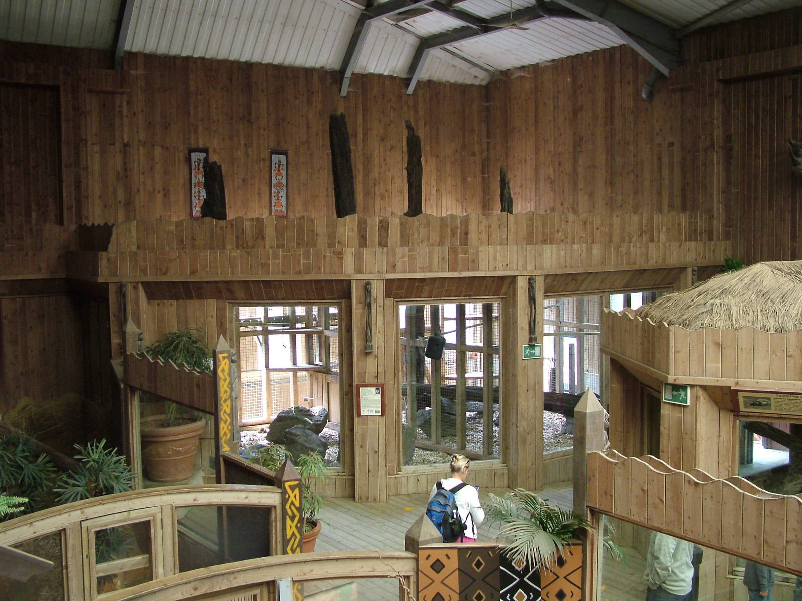 Indoor Patas Monkey exhibit at Colchester, 28/08/10