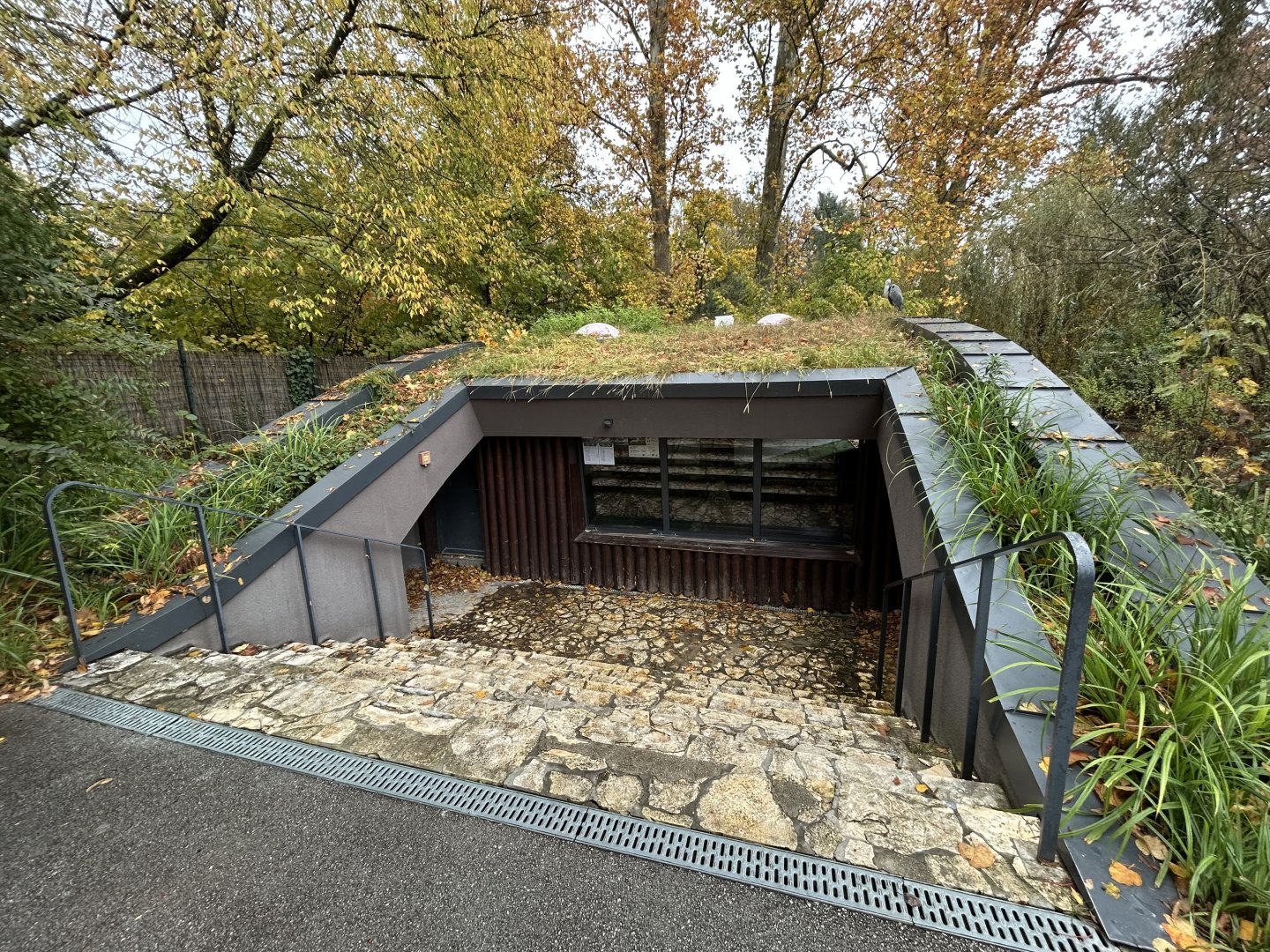 Indoor Pelican Exhibit