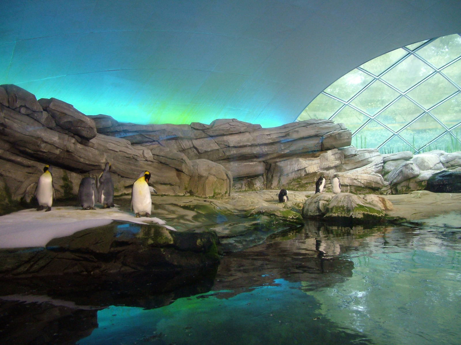 Indoor Penguin Exhibit at Berlin Zoo, 31/08/11