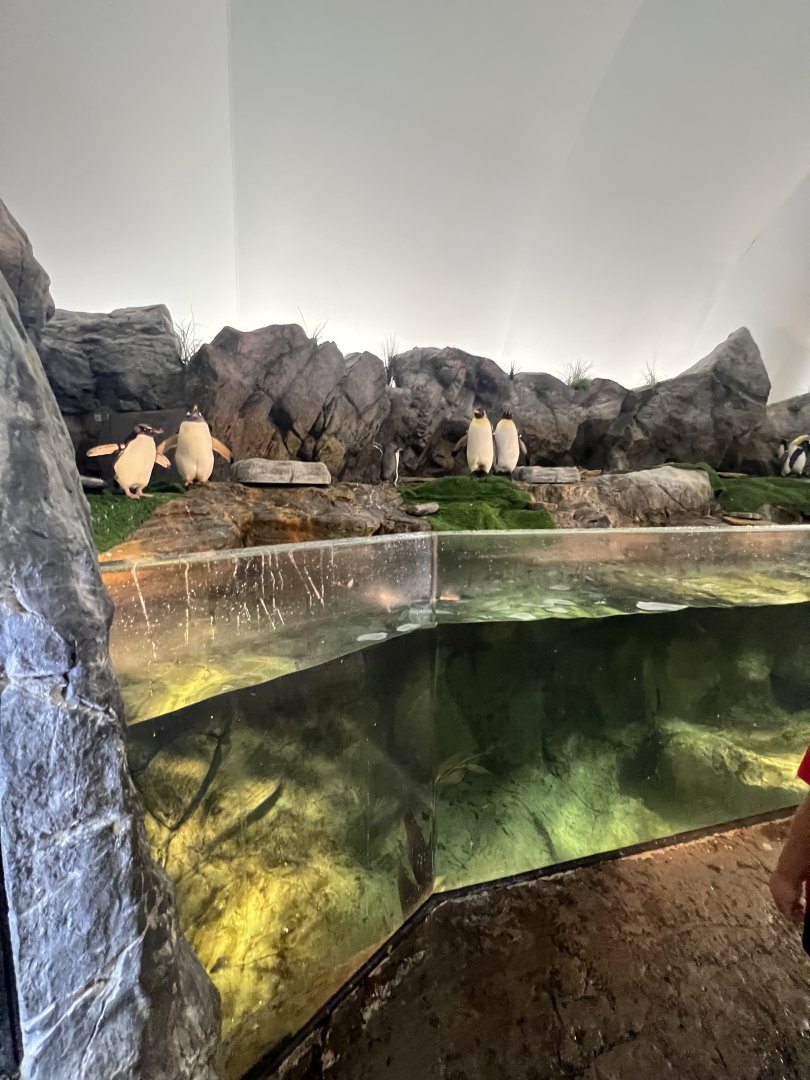 Indoor Penguin Exhibit