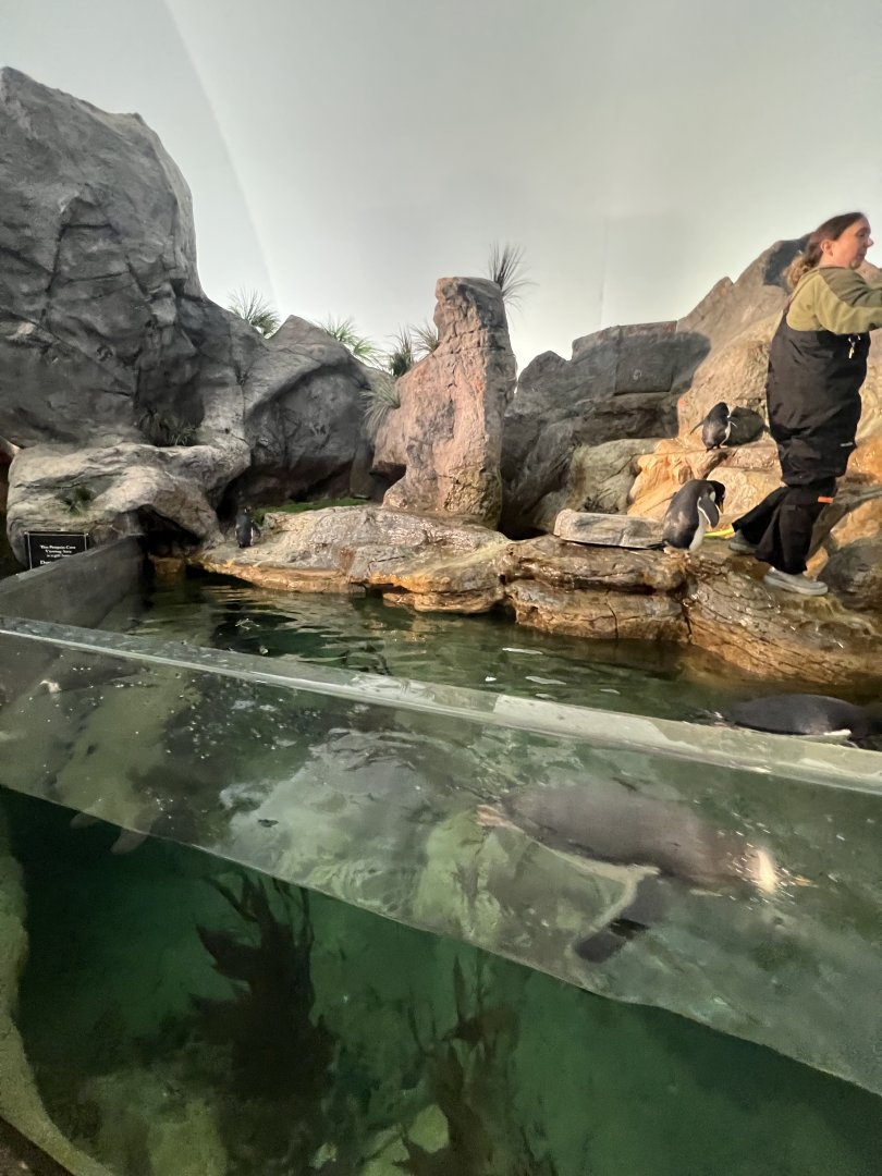Indoor Penguin Exhibit