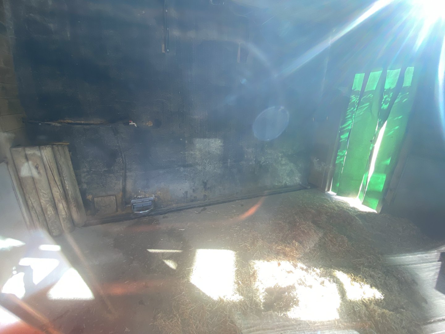 Indoor pig enclosure