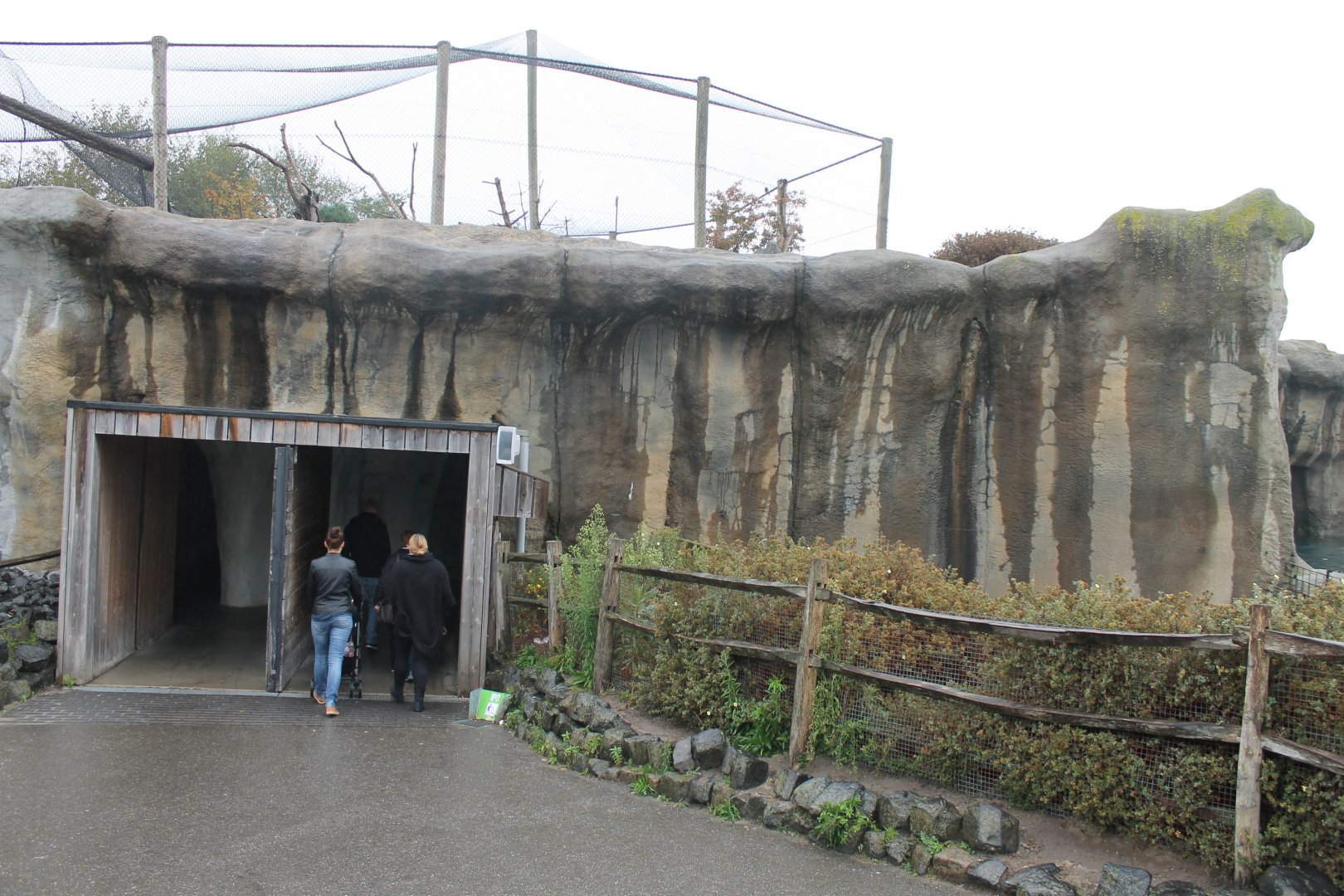 Indoor Polar bear viewing