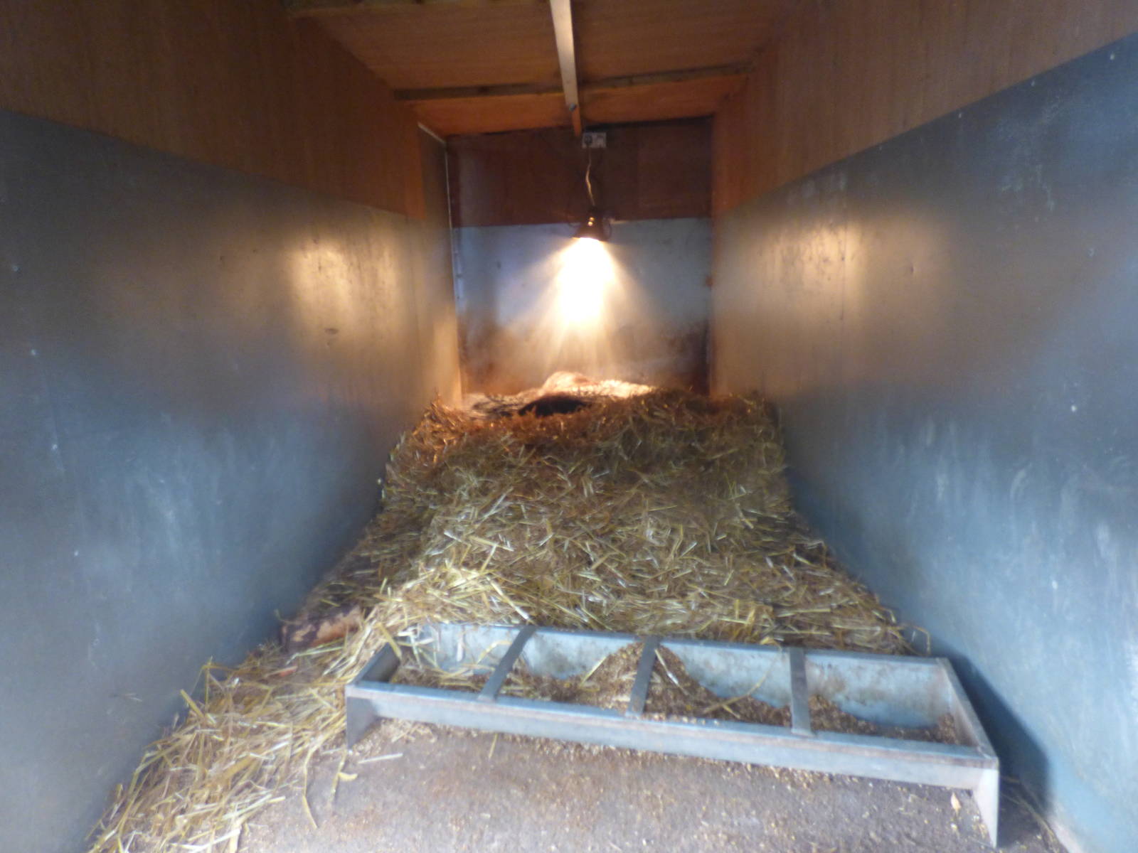 Indoor Pourcpine Enclosure