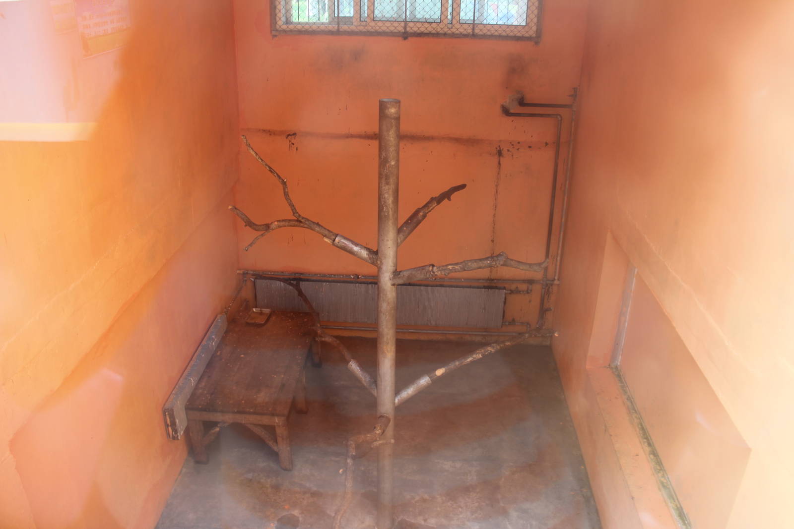 Indoor primate enclosure