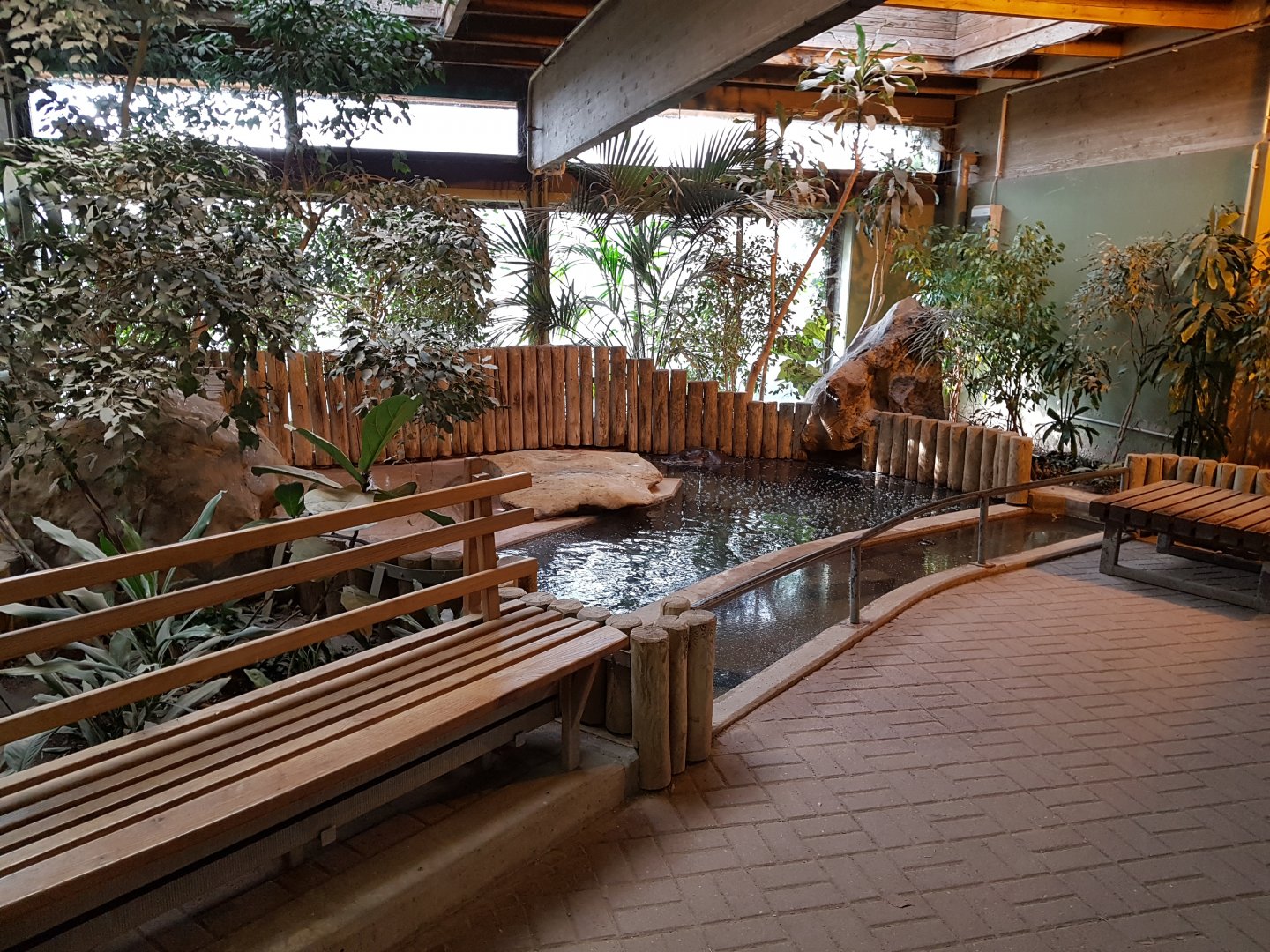 Indoor pygmy hippo accommodation