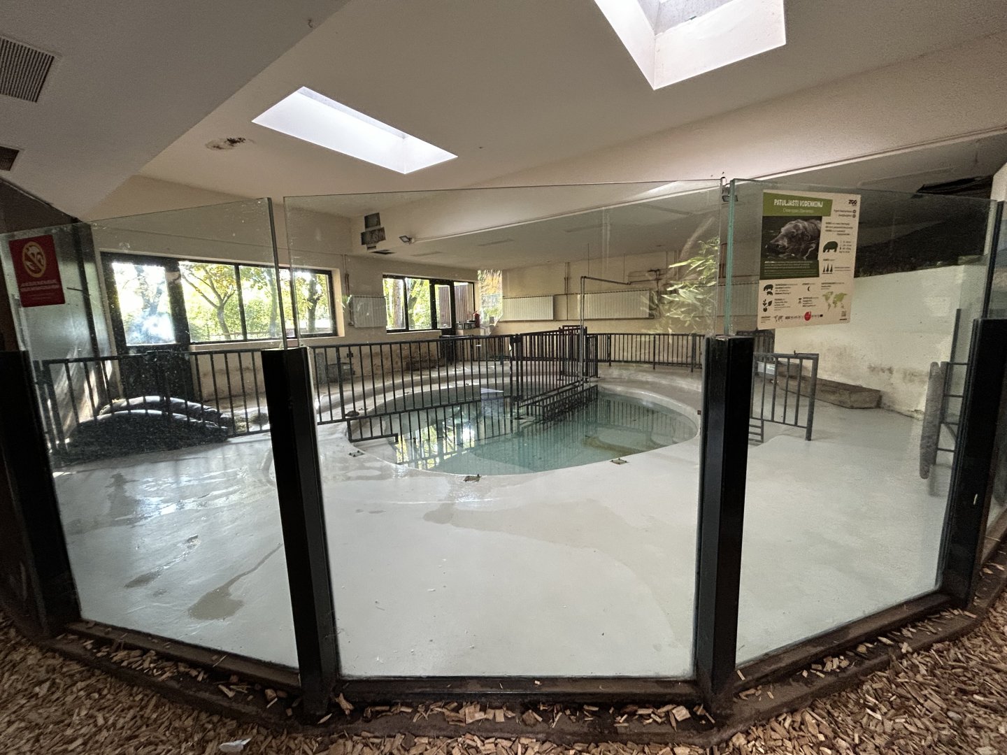 Indoor Pygmy Hippo Exhibit