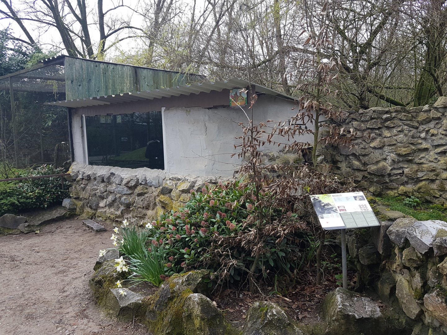 Indoor Raccoon-enclosure