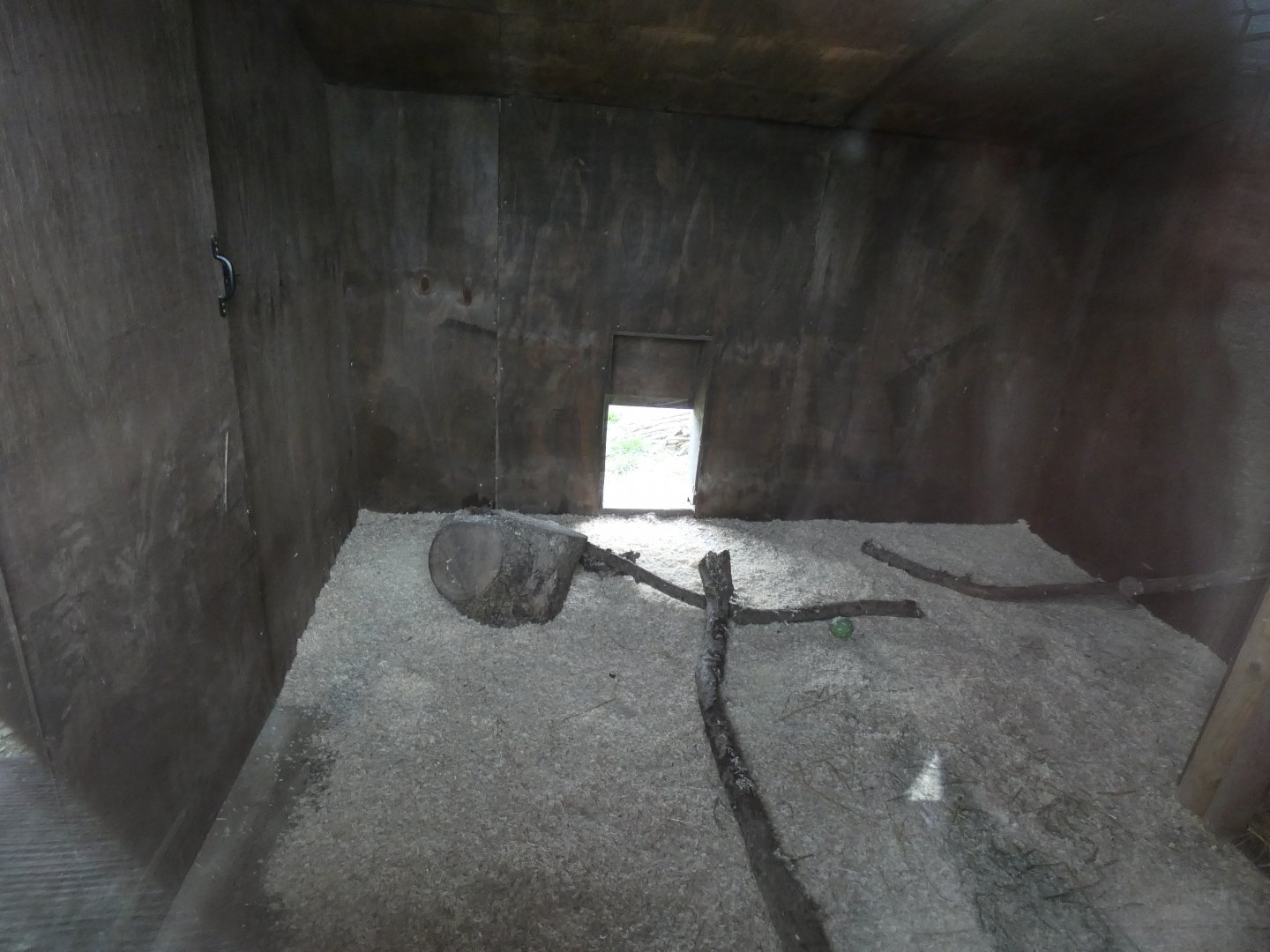 Indoor Racoon Dog Enclosure