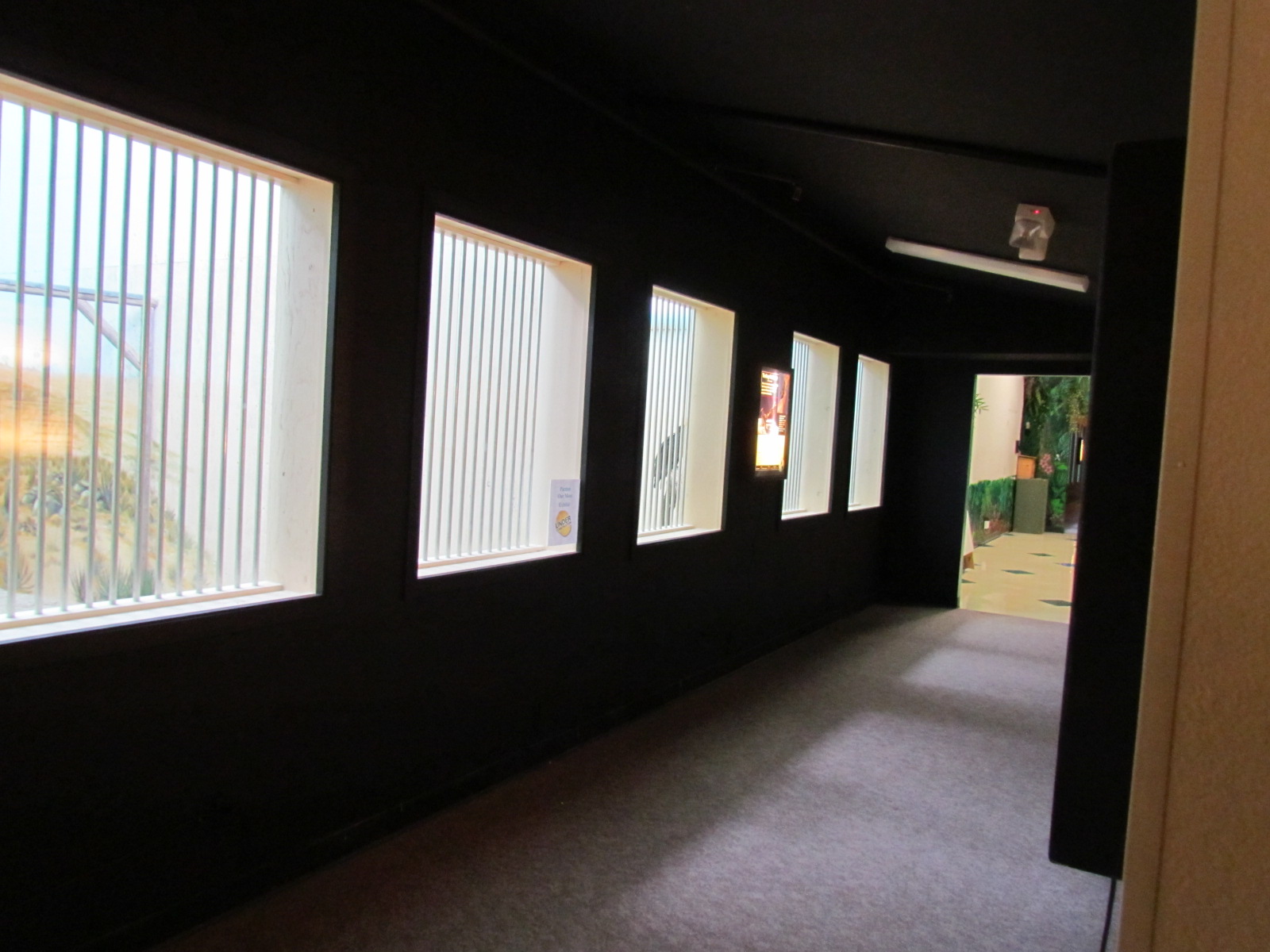 Indoor Raptor Mew Viewing Hall