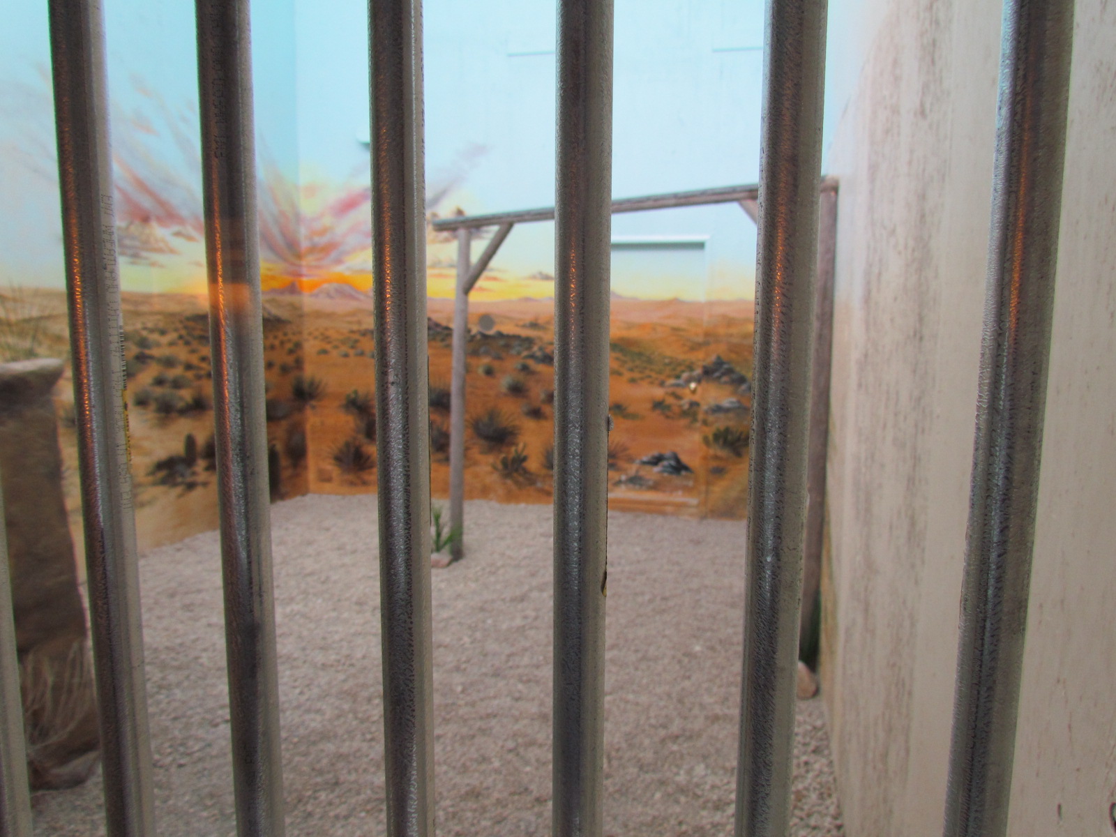 Indoor Raptor Mews - Aplomado Falcon