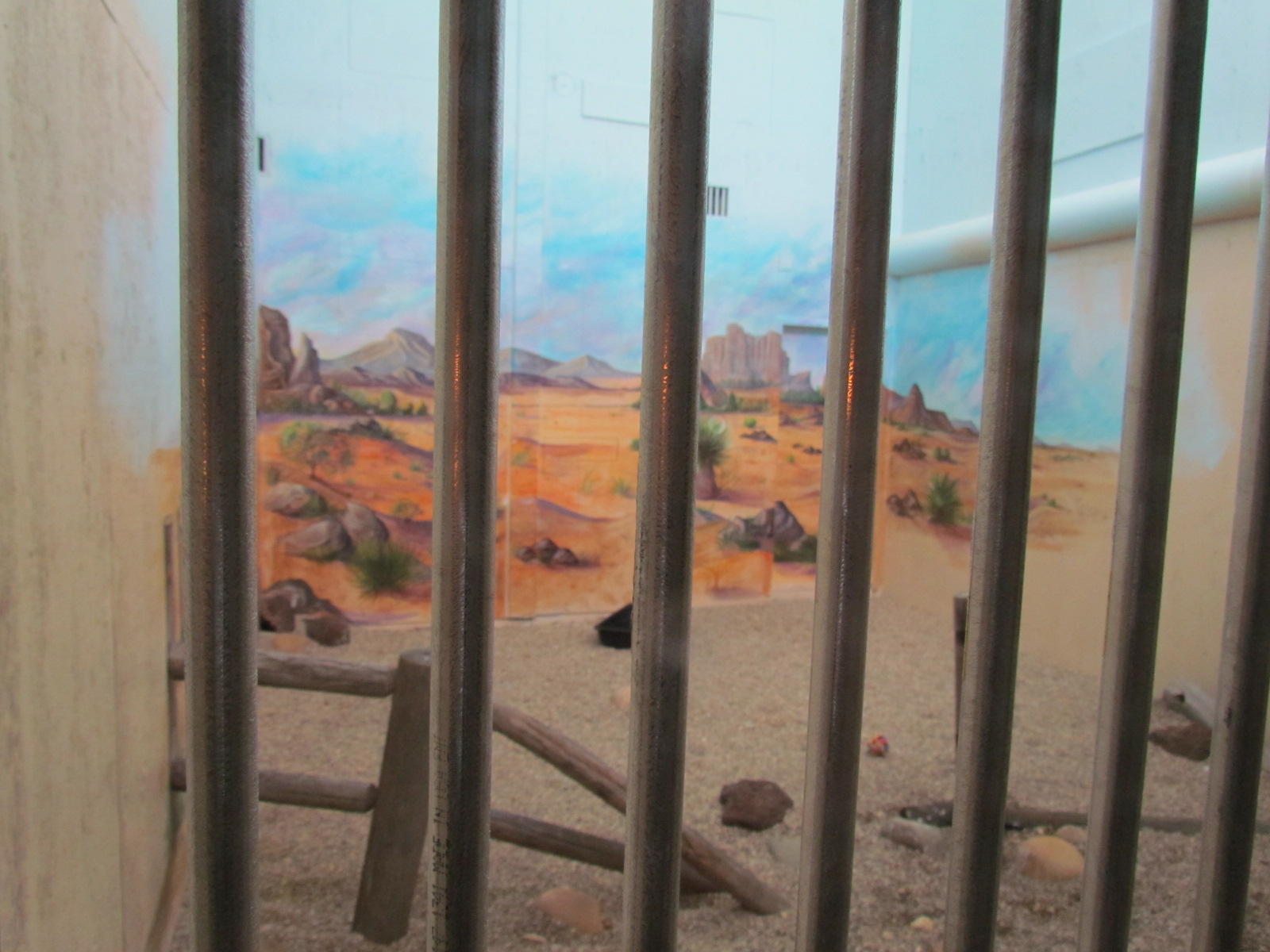 Indoor Raptor Mews - Turkey Vulture