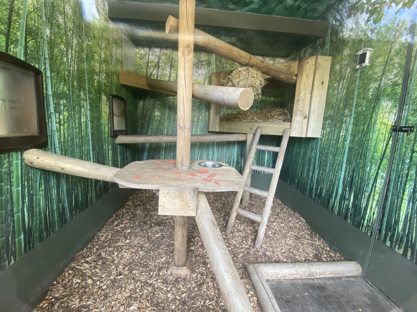 Indoor red panda enclosure