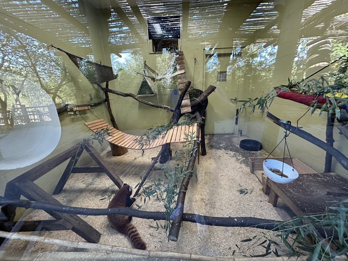 Indoor Red Panda Exhibit - Red Panda Village