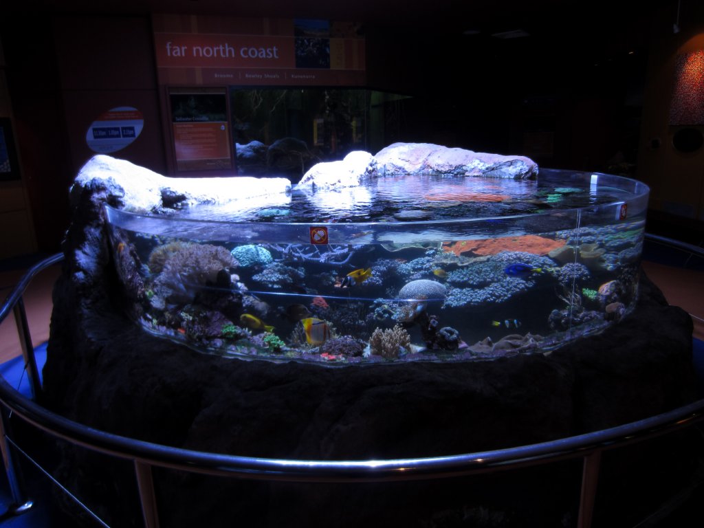 Indoor reef display