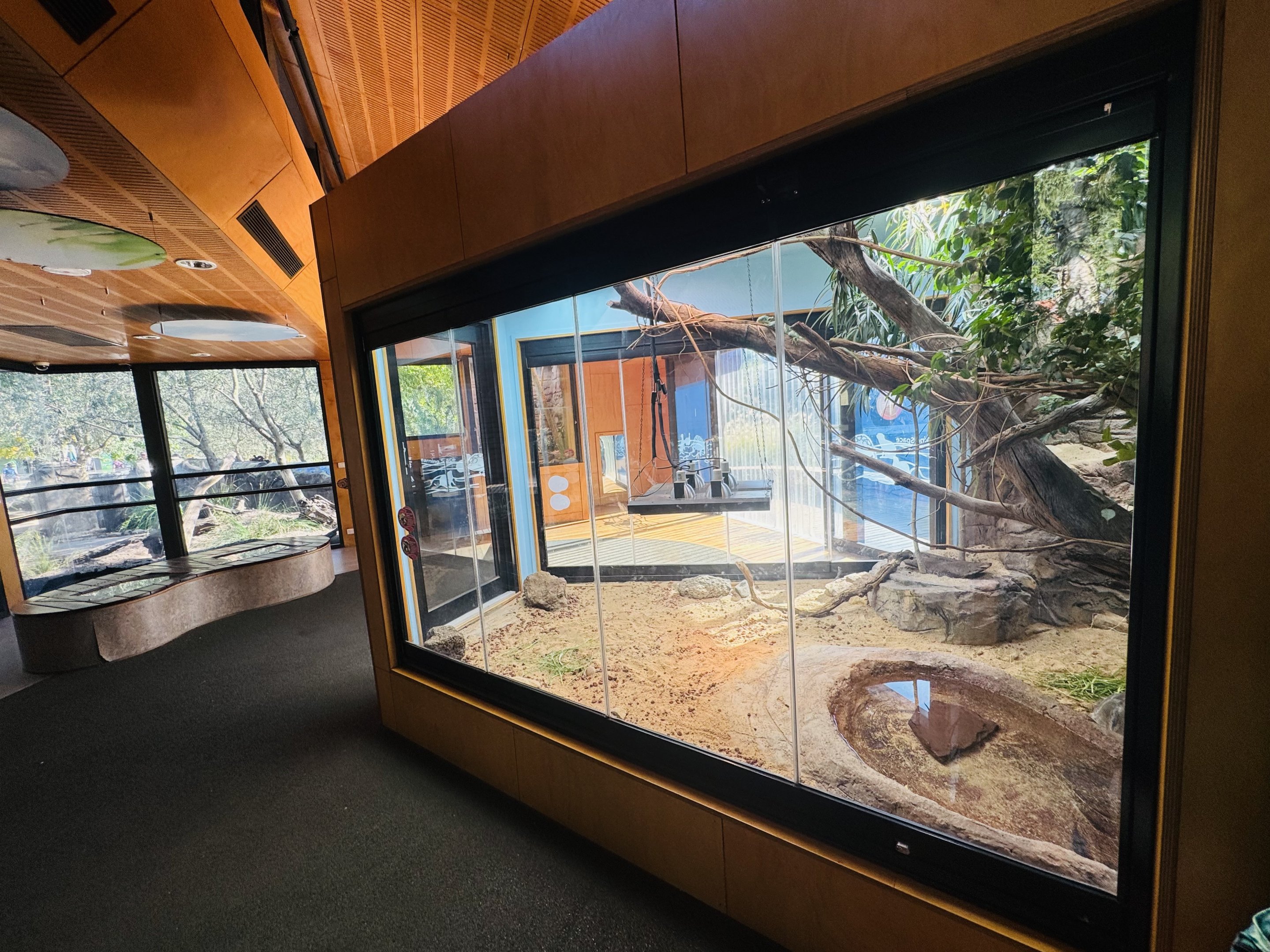 Indoor reptile building