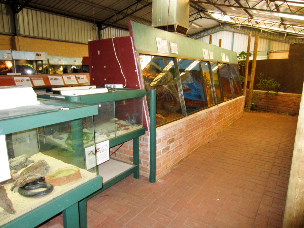 Indoor reptile exhibits