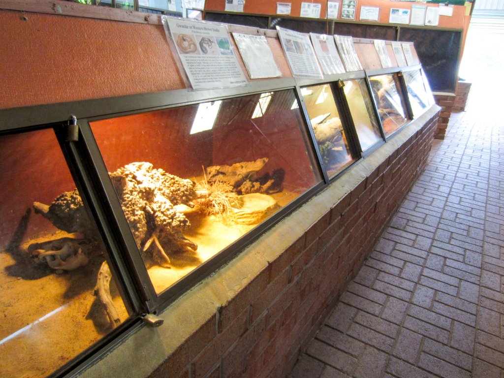 Indoor reptile exhibits